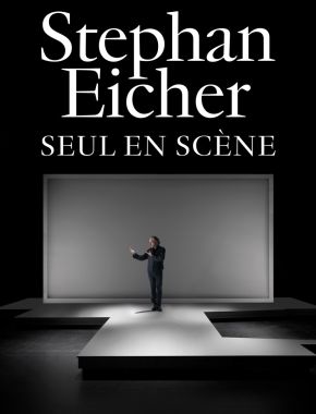 Spectacle de Stephan Eicher