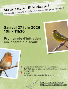 Sortie nature- Ki ki chante ?